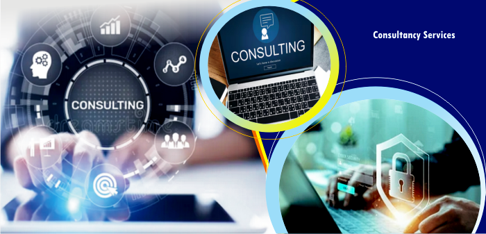 sunfrank synegy consultancy